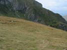Immagine 090.jpg